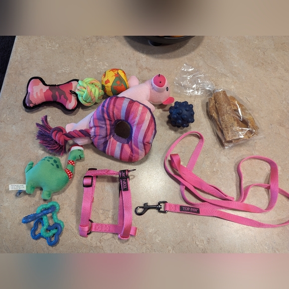 Dogs lot Harness, Leash, Toys... - Picture 2 of 15